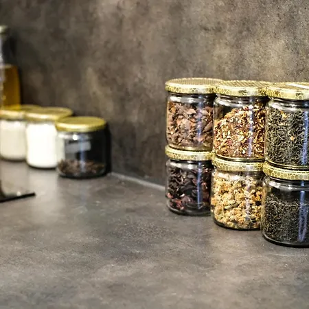 Studio Cocooning In & Help An Ecoproject ! Appartamento Strasburgo