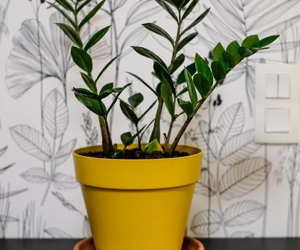 Appartamento Studio Cocooning In & Help An Ecoproject ! Strasburgo
