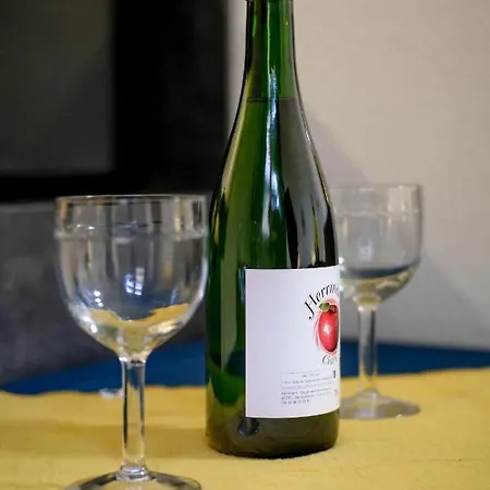 Studio Cocooning In & Help An Ecoproject ! Apartamento *